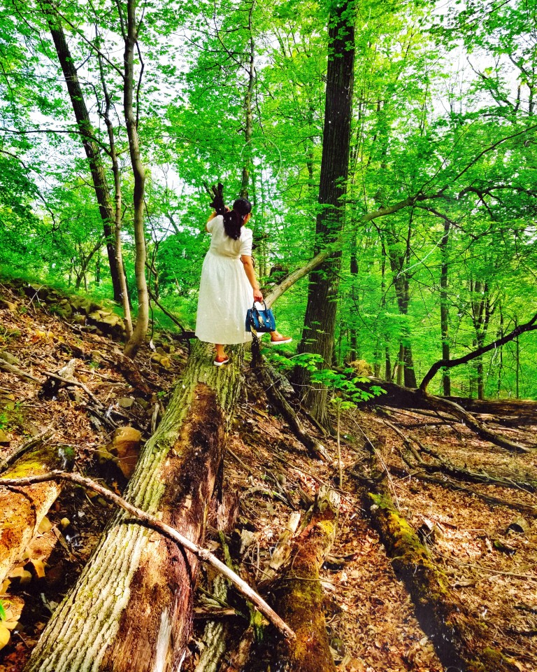 Brunette in white dress and cognac leather sneakers poses ballet-like on fallen molding tree trunk.